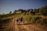 Golden Family Photos at the Chianti Vineyards in Tuscany